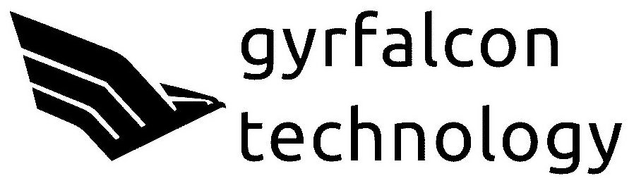  GYRFALCON TECHNOLOGY