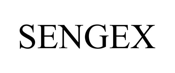  SENGEX