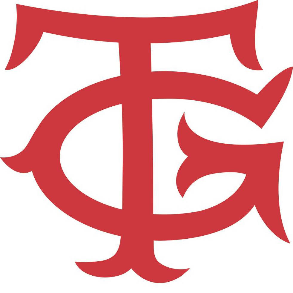 Trademark Logo TG