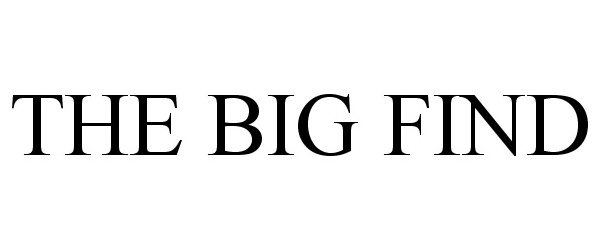 Trademark Logo THE BIG FIND