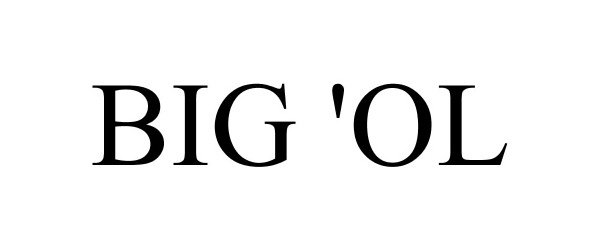 Trademark Logo BIG 'OL