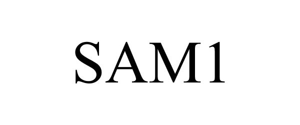  SAM1