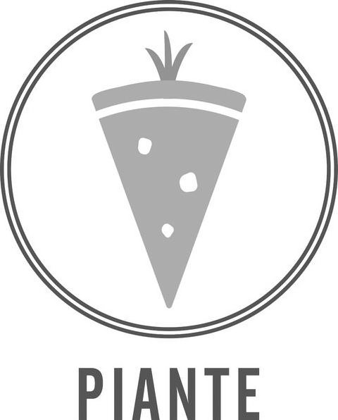 PIANTE