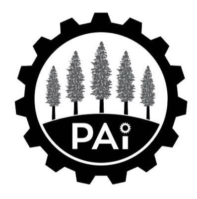 Trademark Logo PAI