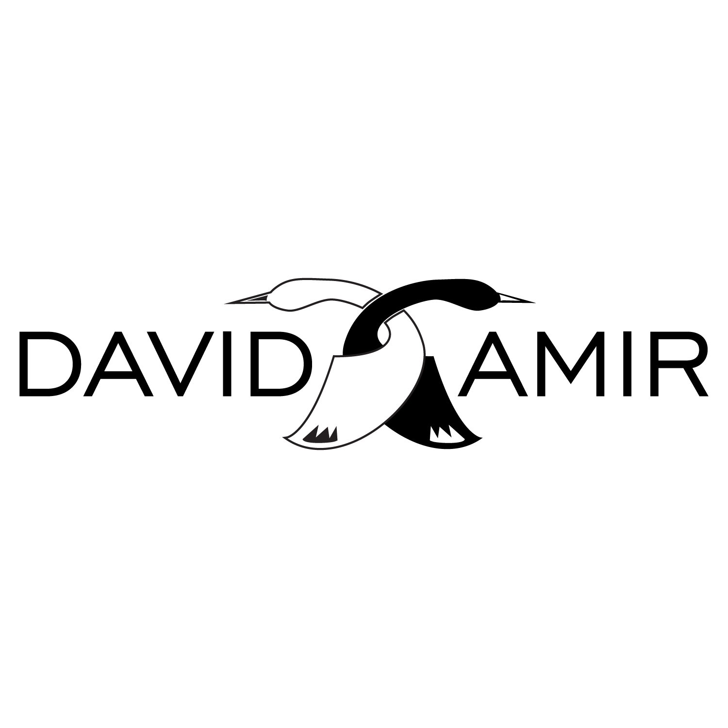 Trademark Logo DAVID AMIR