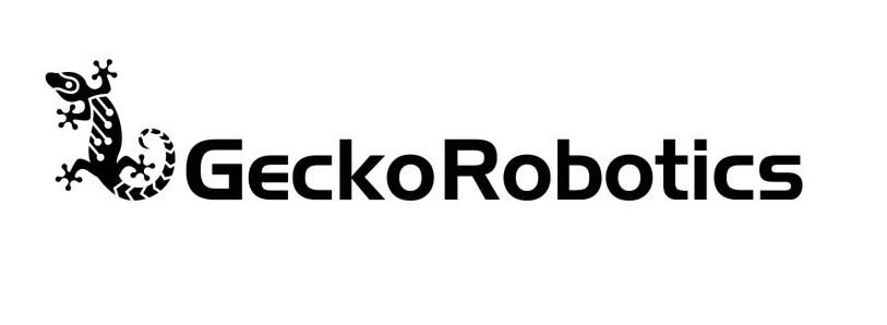  GECKOROBOTICS