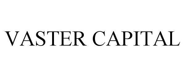  VASTER CAPITAL