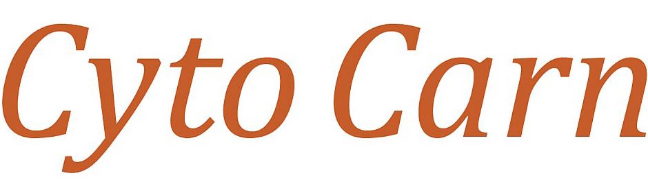 Trademark Logo CYTO CARN