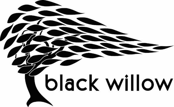 Trademark Logo BLACK WILLOW