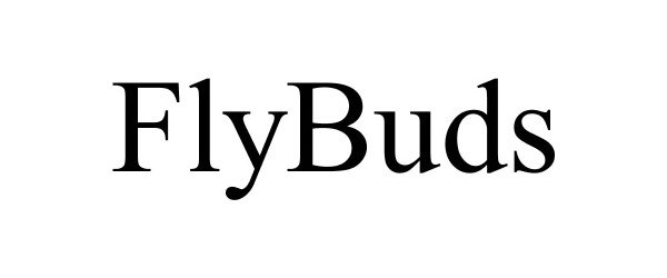  FLYBUDS