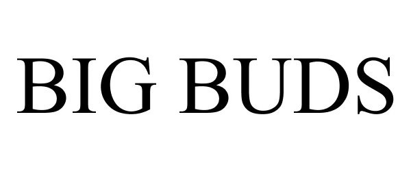 Trademark Logo BIG BUDS