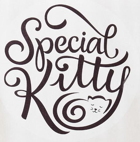 Trademark Logo SPECIAL KITTY