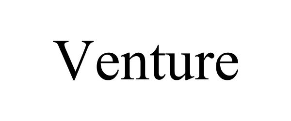 Trademark Logo VENTURE