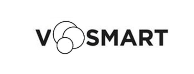 Trademark Logo V SMART
