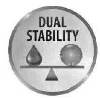  DUAL STABILITY