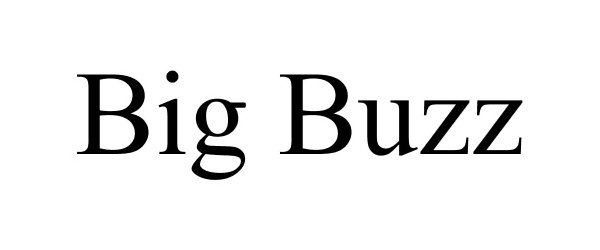 Trademark Logo BIG BUZZ