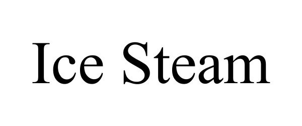 Trademark Logo ICE STEAM