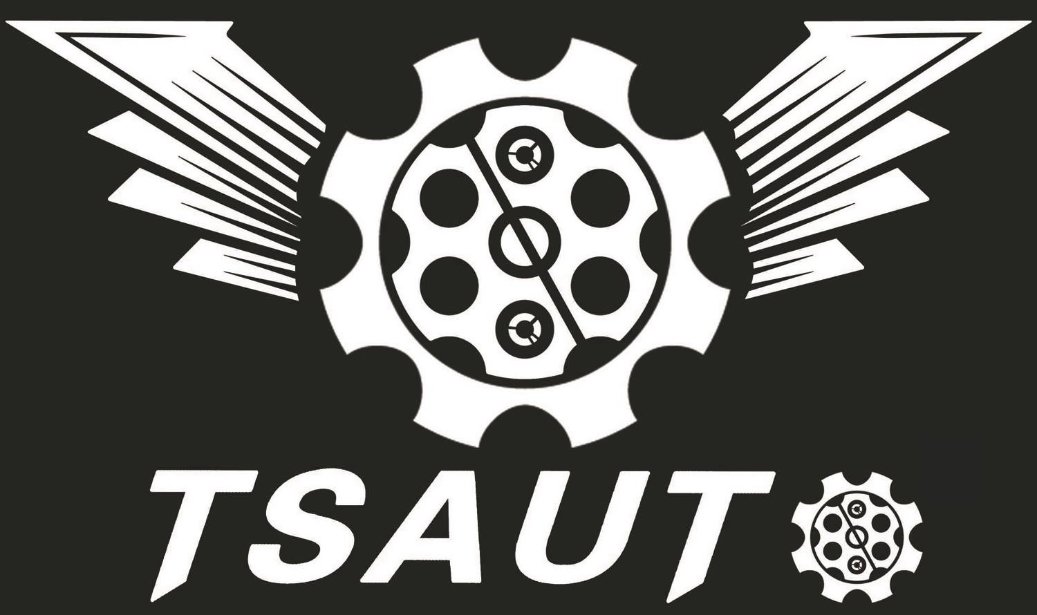  TSAUTO