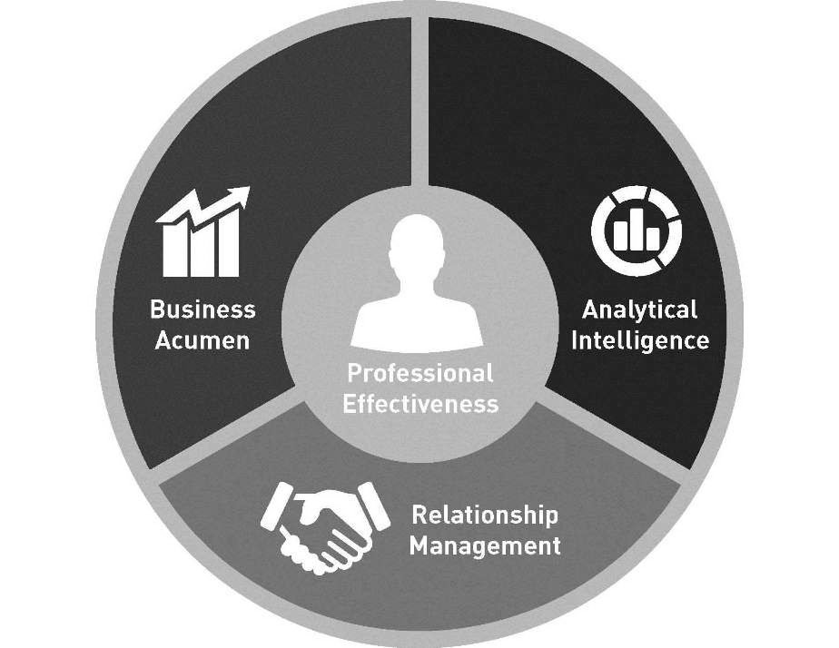  BUSINESS ACUMEN PROFESSIONAL EFFECTIVENESS ANALYTICAL INTELLIGENCE RELATIONSHIP MANAGEMENT