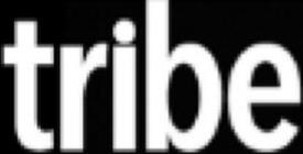 Trademark Logo TRIBE