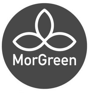 Trademark Logo MORGREEN