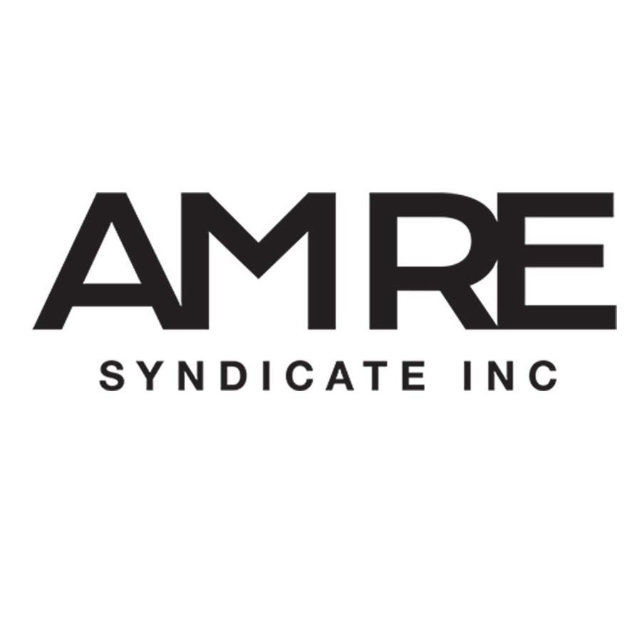  AM RE SYNDICATE INC