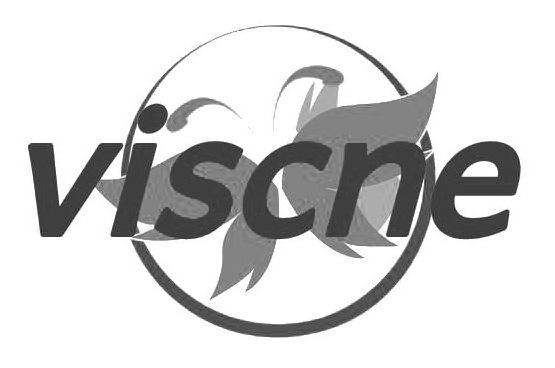 Trademark Logo VISCNE