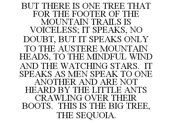  BUT THERE IS ONE TREE THAT FOR THE FOOTER OF THE MOUNTAIN TRAILS IS VOICELESS; IT SPEAKS, NO DOUBT, BUT IT SPEAKS ONLY TO THE AUSTERE MOUNTAIN HEADS, TO THE MINDFUL WIND AND THE WATCHING STARS. IT SPEAKS AS MEN SPEAK TO ONE ANOTHER AND ARE NOT HEARD BY THE