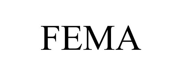 Trademark Logo FEMA
