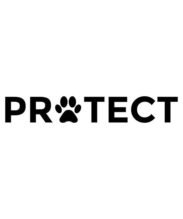 Trademark Logo PROTECT