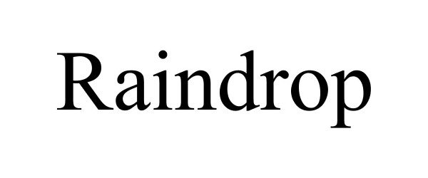 Trademark Logo RAINDROP
