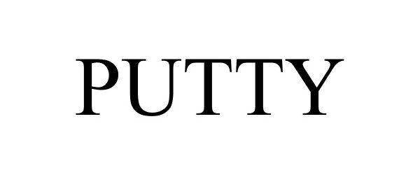 Trademark Logo PUTTY