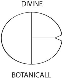 Trademark Logo DIVINE BOTANICALL