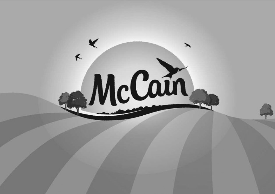  MCCAIN