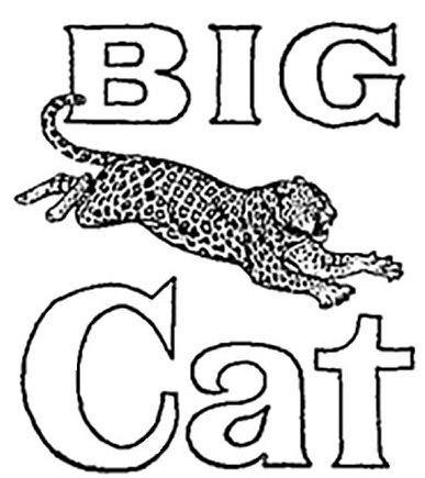 Trademark Logo BIG CAT