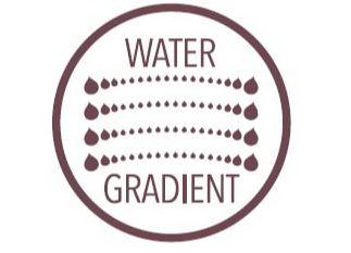 Trademark Logo WATER GRADIENT
