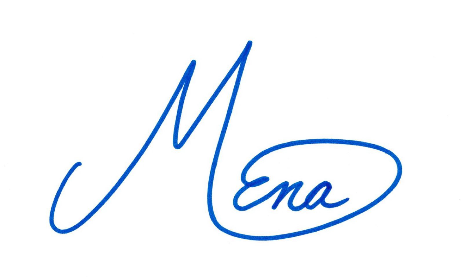 Trademark Logo MENA