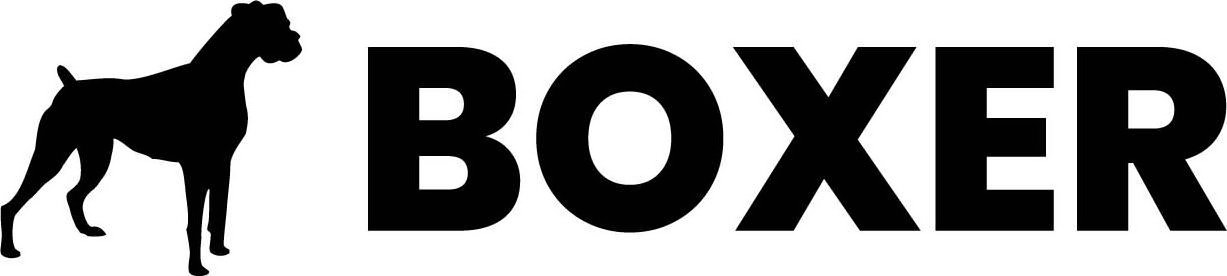 Trademark Logo BOXER