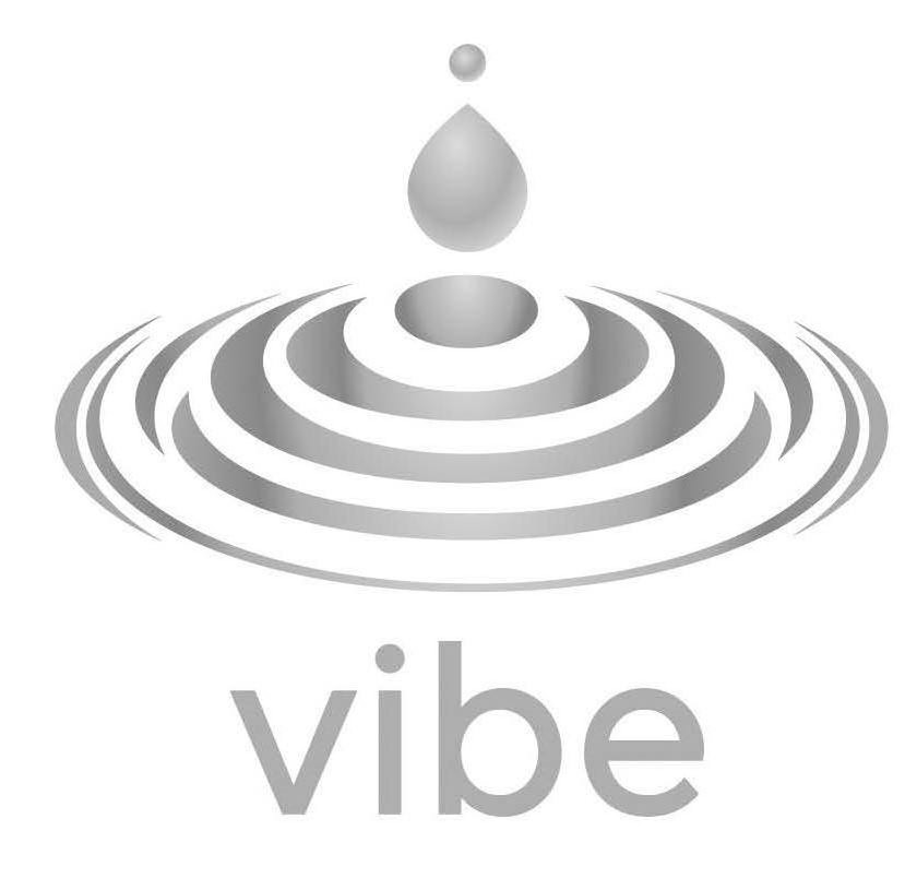 Trademark Logo VIBE