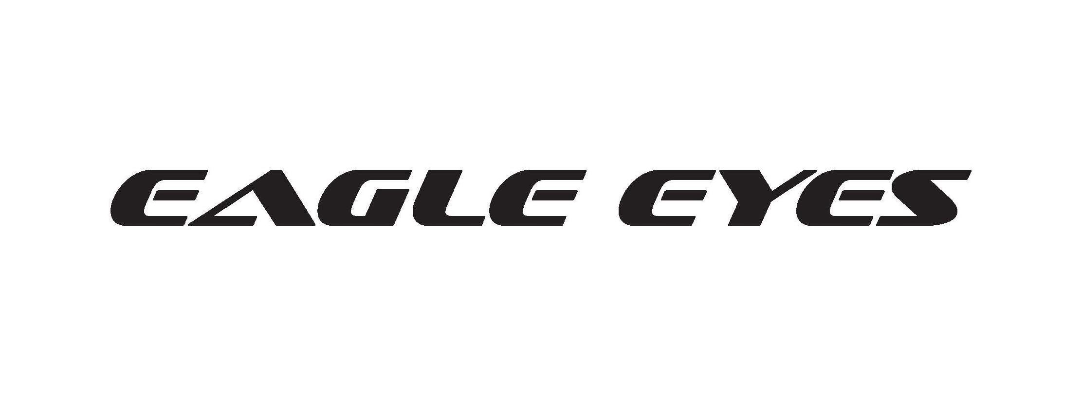 Trademark Logo EAGLE EYES