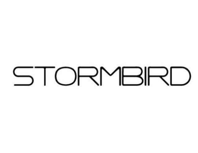  STORMBIRD