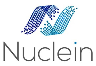 Trademark Logo N NUCLEIN