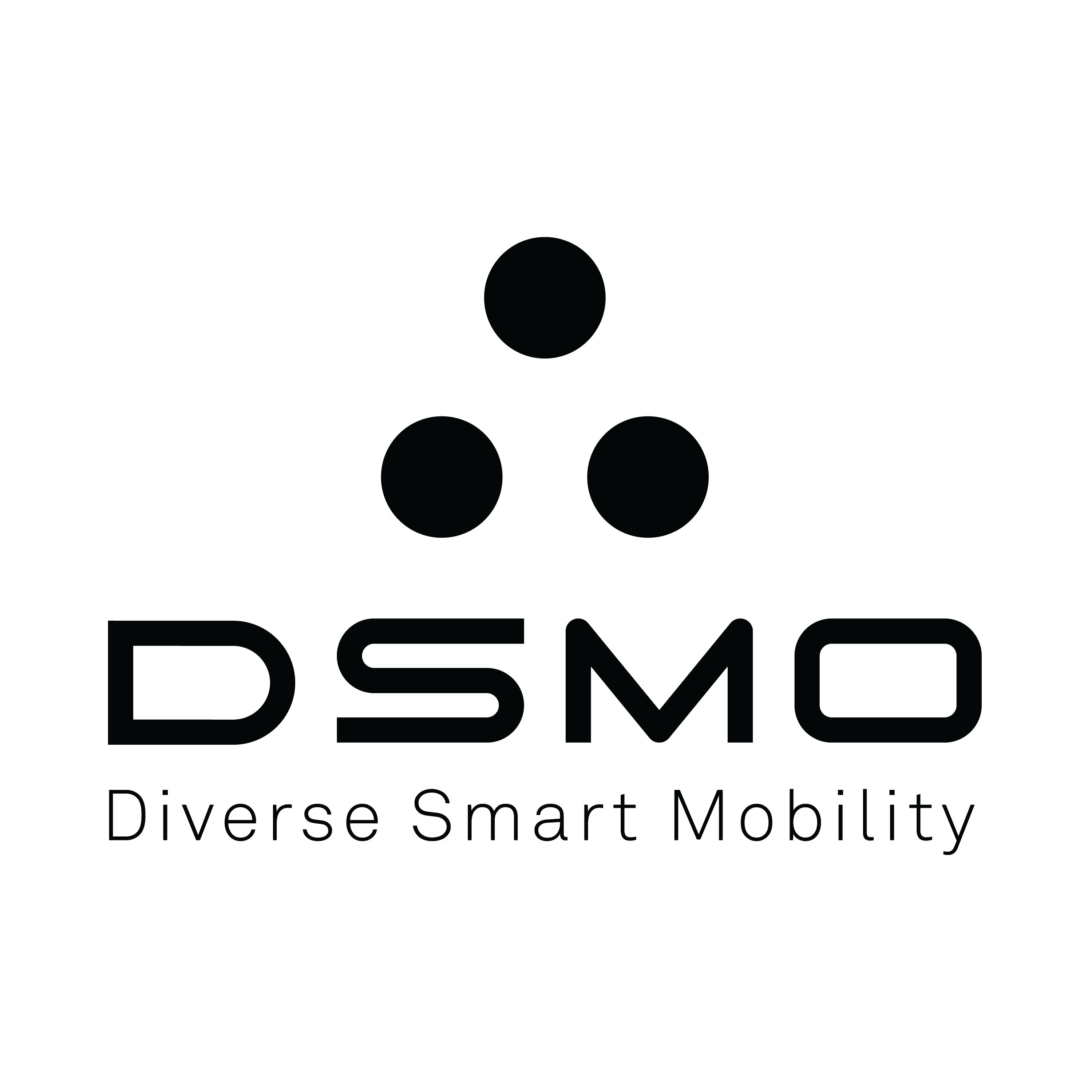  DSMO DIVERSE SMART MOBILITY