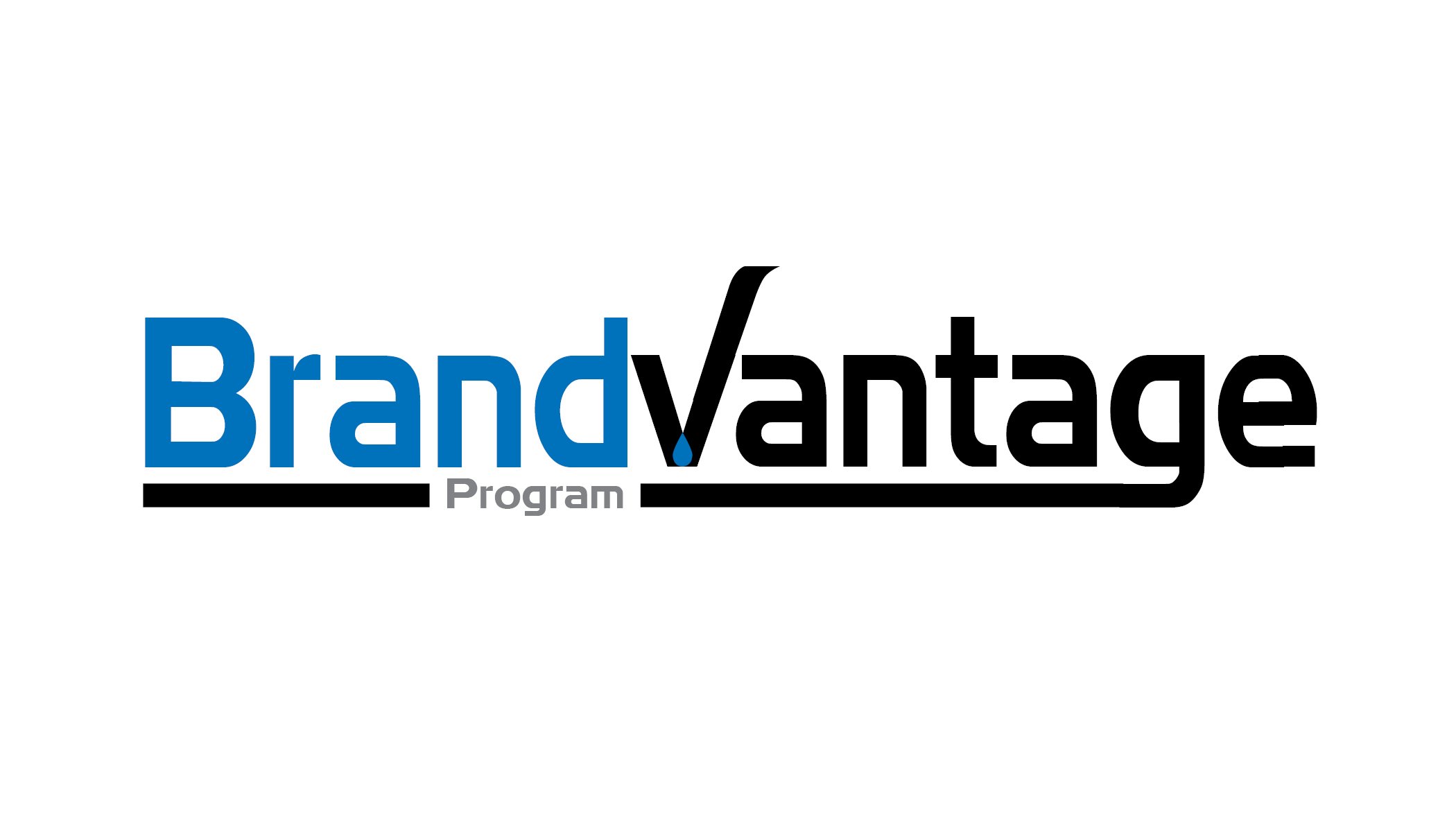Trademark Logo BRANDVANTAGE PROGRAM