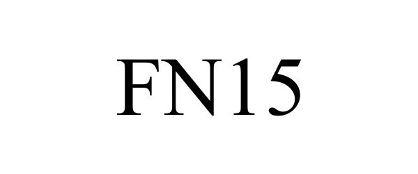 Trademark Logo FN15