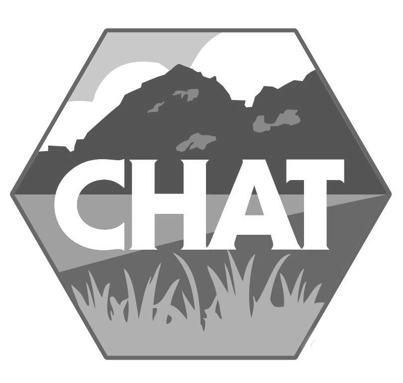 Trademark Logo CHAT