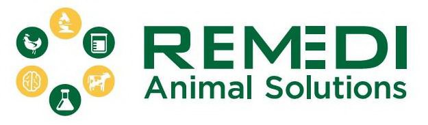 Trademark Logo REMEDI ANIMAL SOLUTIONS