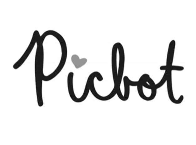 Trademark Logo PICBOT