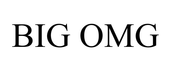 Trademark Logo BIG OMG