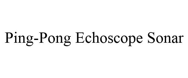 PING-PONG ECHOSCOPE SONAR